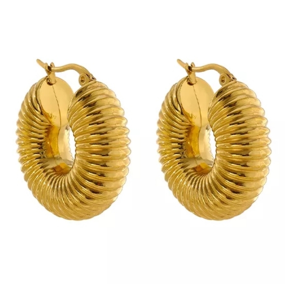 Round Chunky Hoop Earrings - Picture 6 of 8